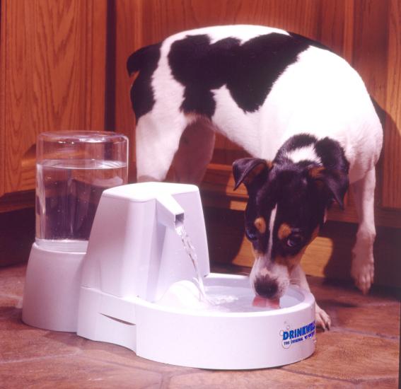 Питьевой фонтанчик для вашей собаки
