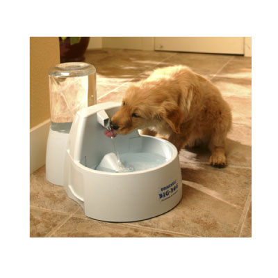 Питьевой фонтанчик для вашей собаки