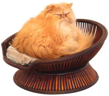Шикарным  котам – роскошную кровать