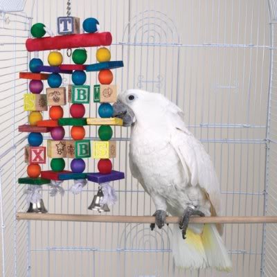 Яркие игрушки для попугаев