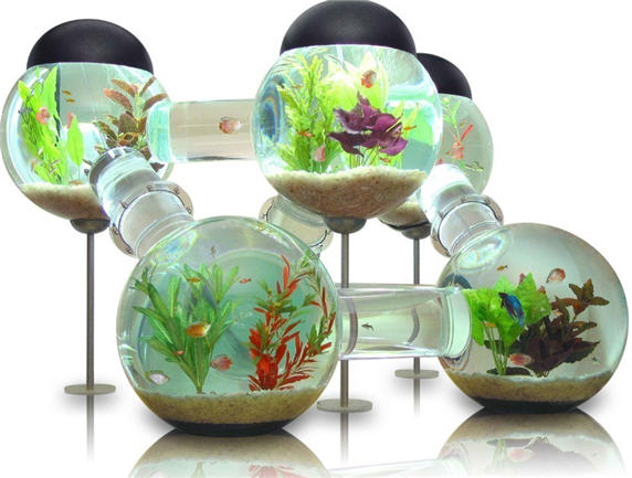Интересный аквариум