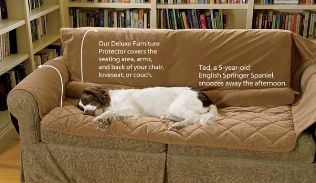 Защита дивана и мягкой мебели