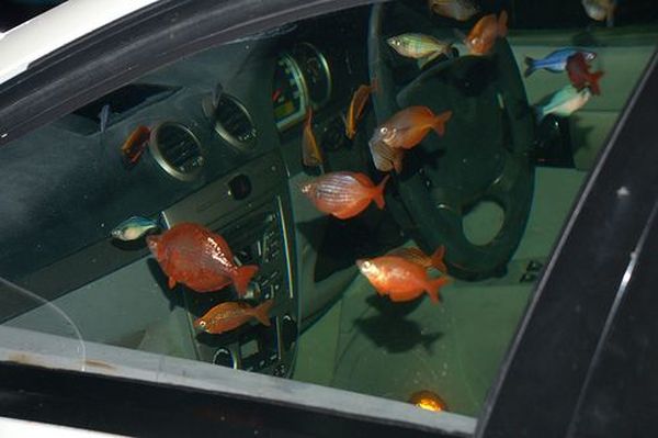 Автомобиль - аквариум