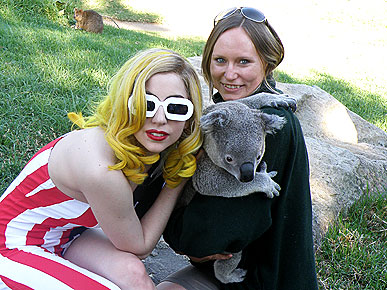 Леди Гага напугала коалу
