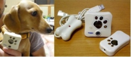 Цифровая фотокамера для собак