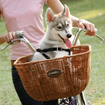 Велосипедное вип-ложе для собак