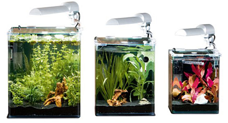 Нано аквариум для креветок, крабов и улиток