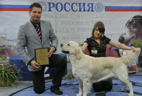 «Россия-2010» приглашает всех любителей собак